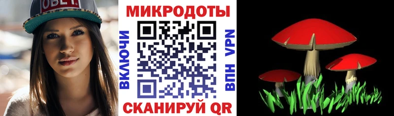 Галлюциногенные грибы ЛСД  площадка какой сайт  Фокино  купить  цена 